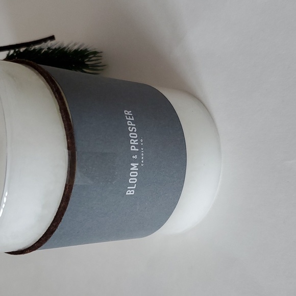 Bloom & Prosper Set of 2 White Birch Candles New - Picture 4 of 7